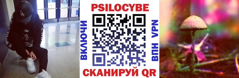 Галлюциногенные грибы Magic Shrooms  Кирсанов 